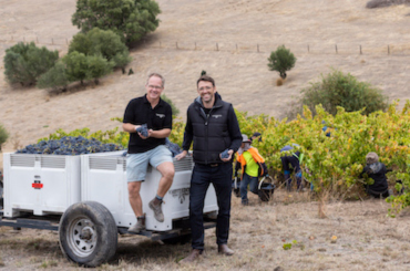 Thistledown Wines